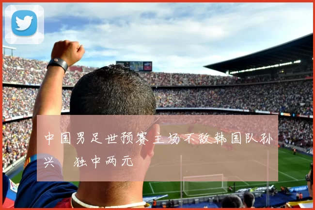 中国男足世预赛主场不敌韩国队孙兴慜独中两元